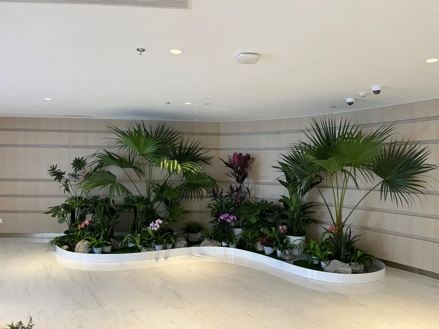 宁波余姚花卉租摆价格